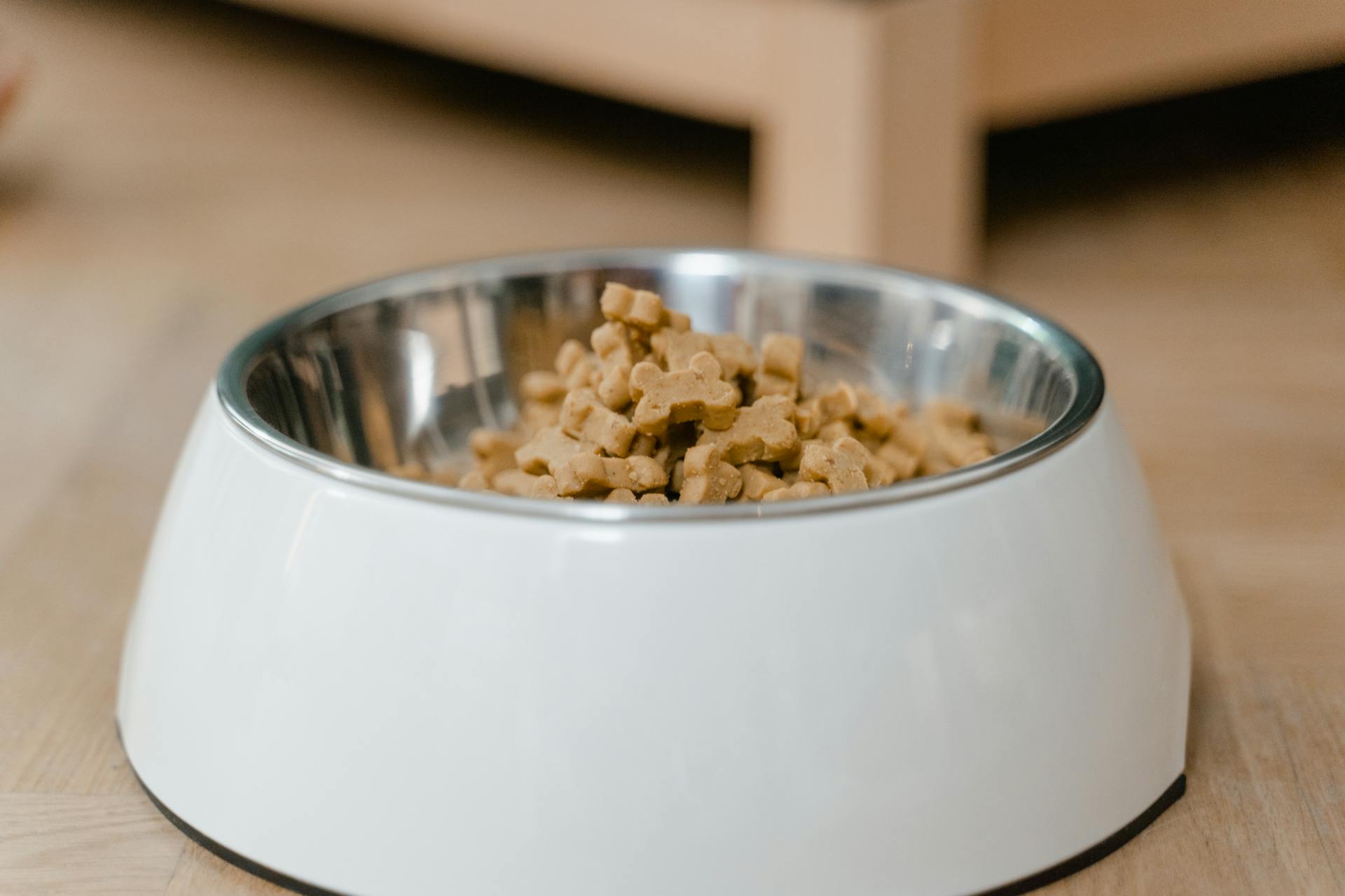 Best Dog Treats for Sensitive Stomachs
