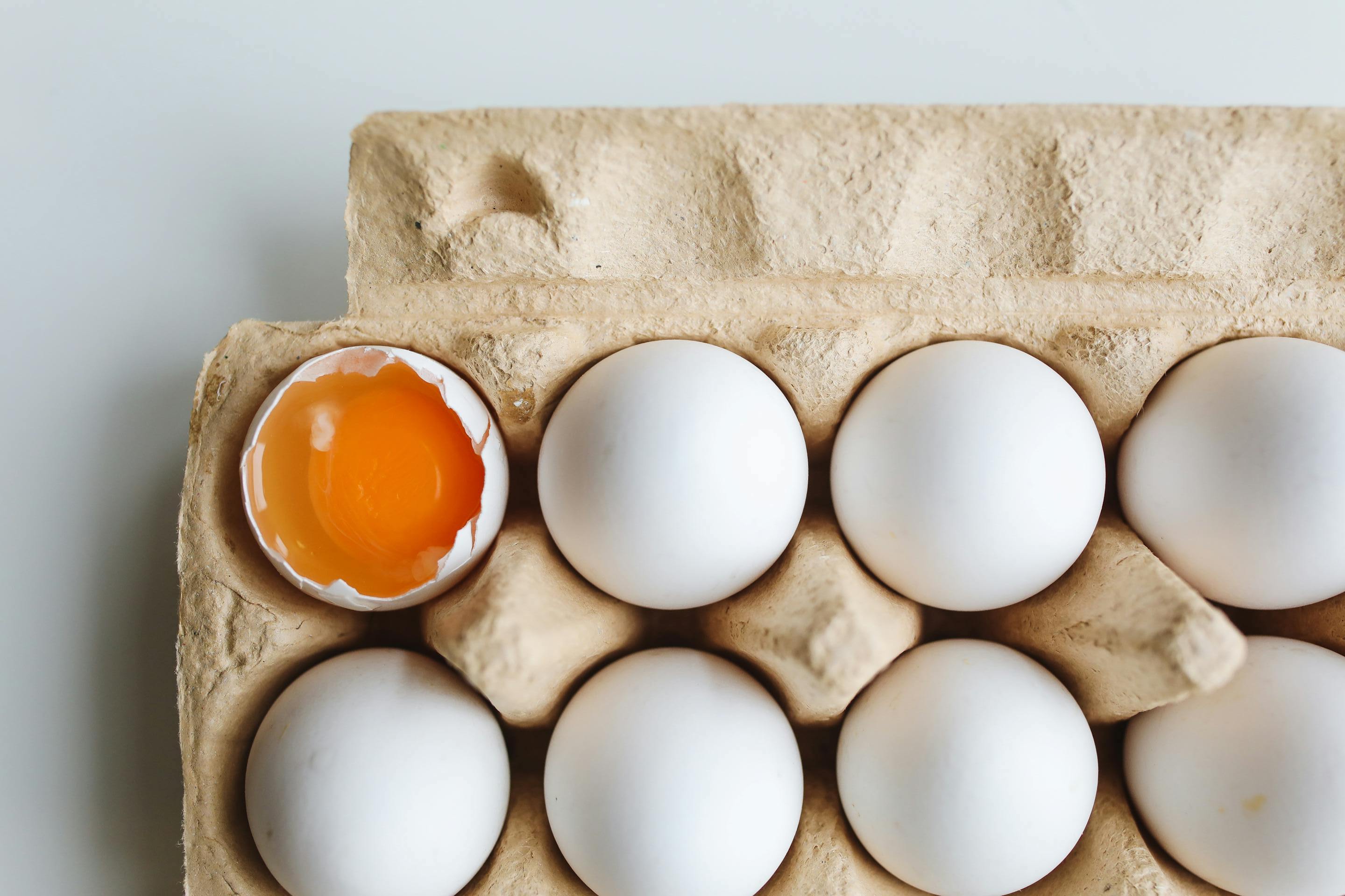 Benefits of Egg Yolks in Dog Treats